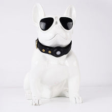 Load image into Gallery viewer, Valant Pet™ - Airtag Collar - ValantPet
